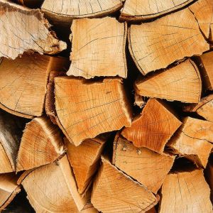 Продукция ОАО Витебсклес - Дрова колотые